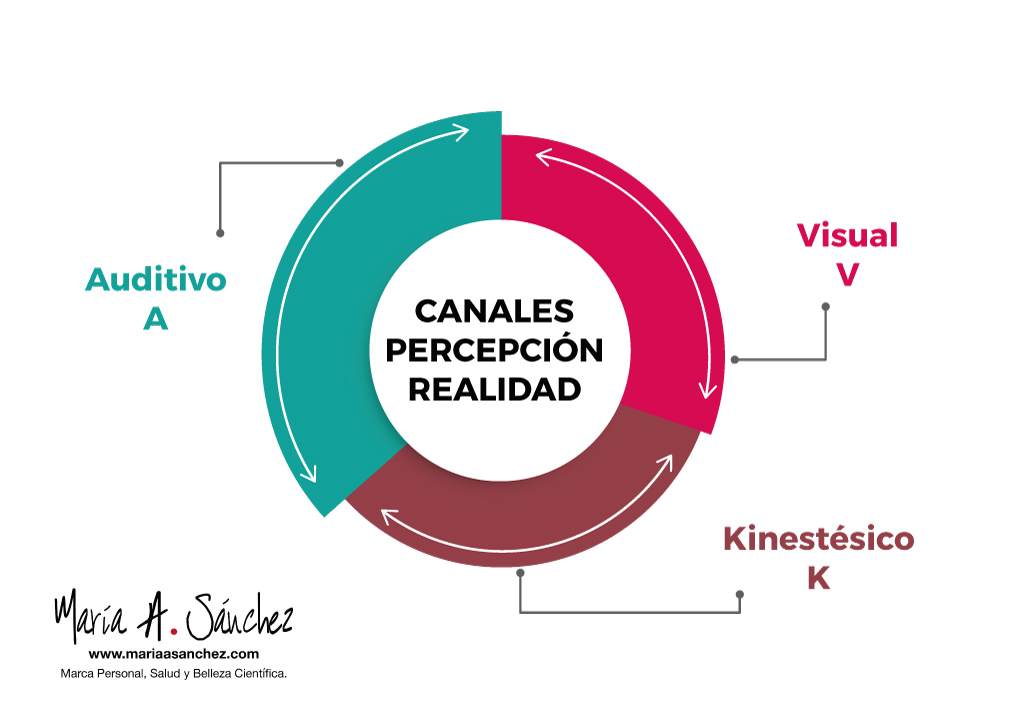 Canales-Percepcion-Realidad-Maria-A-Sanchez-Asesora-de-Imagen-Personal-y-Profesional